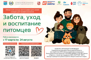Конкурс про животных Конкурс про животных.